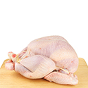 POULTRY (TURKEY)